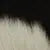 Cowhide (Black and White)