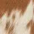 Brown and White Cowhide