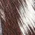 Black and White Cowhide