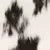 Black and White Cowhide