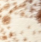 brown and white